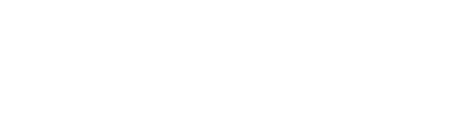 FanPier Logo