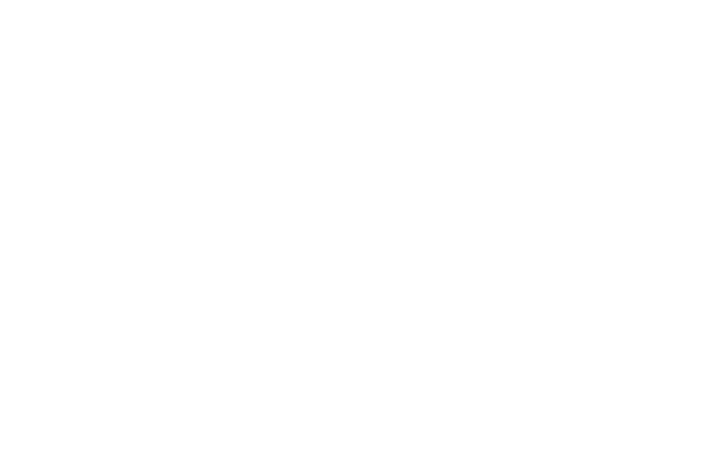 OHS type logo